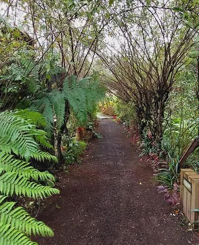 Holiday home Sete Cidades Lake Lodge